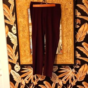 Grape Color Pull On Pants